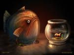 Big Fish Little Fish by zilla774