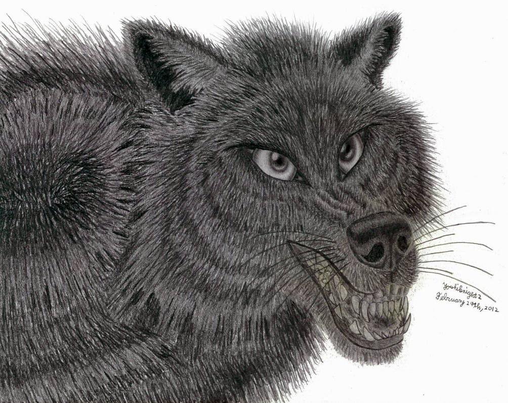 The Alpha Wolf by YoshiTheFox on DeviantArt