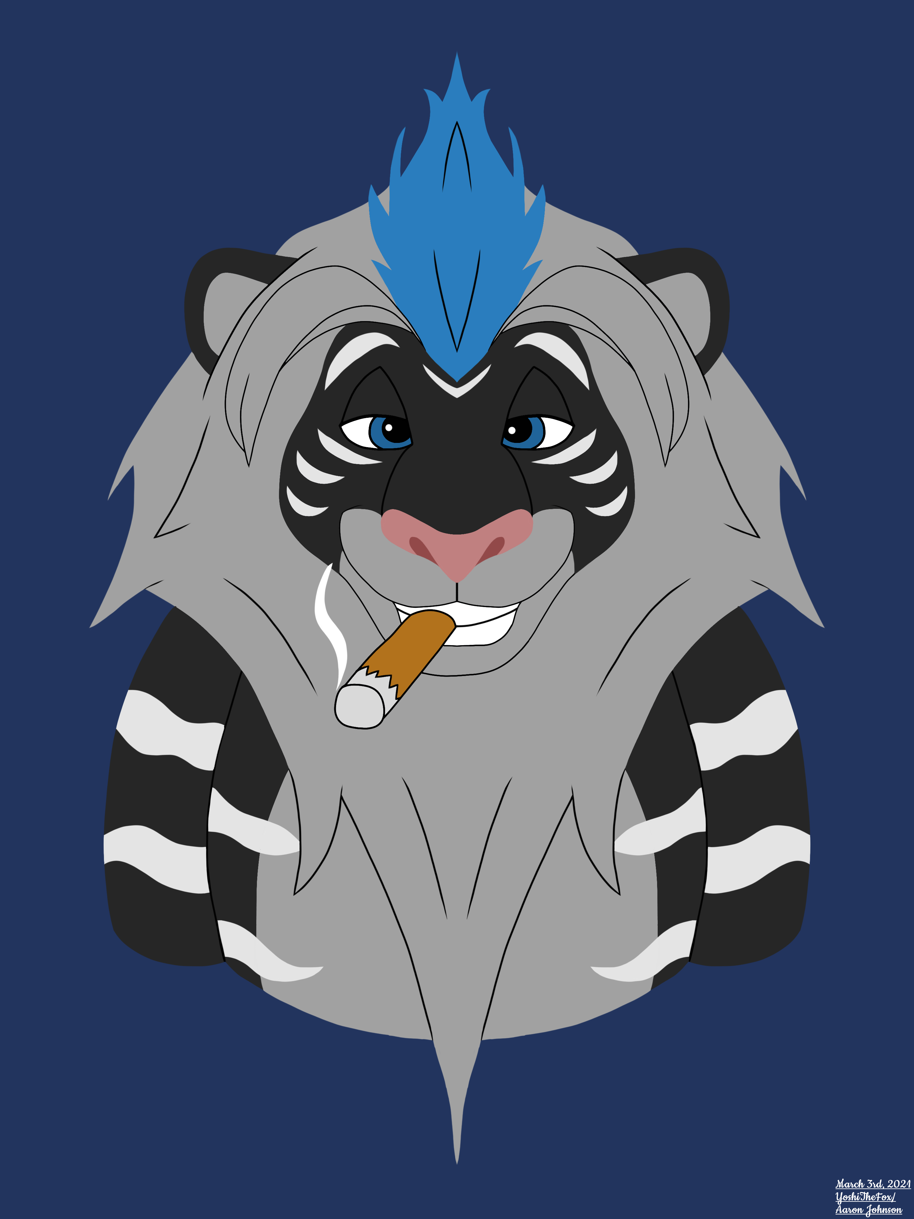 SnapCat (Gift Art) by YoshiTheFox on DeviantArt