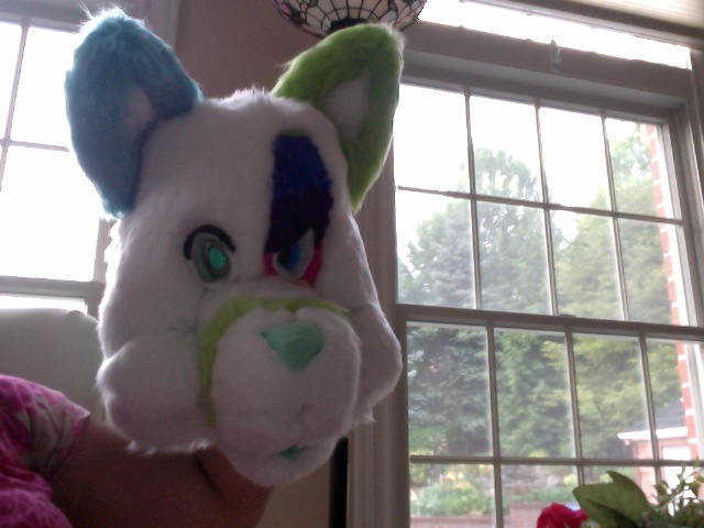 Awful picture of Canvas furhead (WIP WIP WIP)