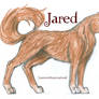 Jared Wolf Form :D