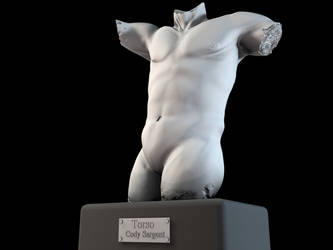 Torso Sculpture- Front