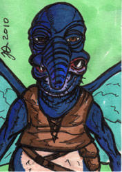 Wato Vector 'Watto' sketch card by JacobDubi on DeviantArt