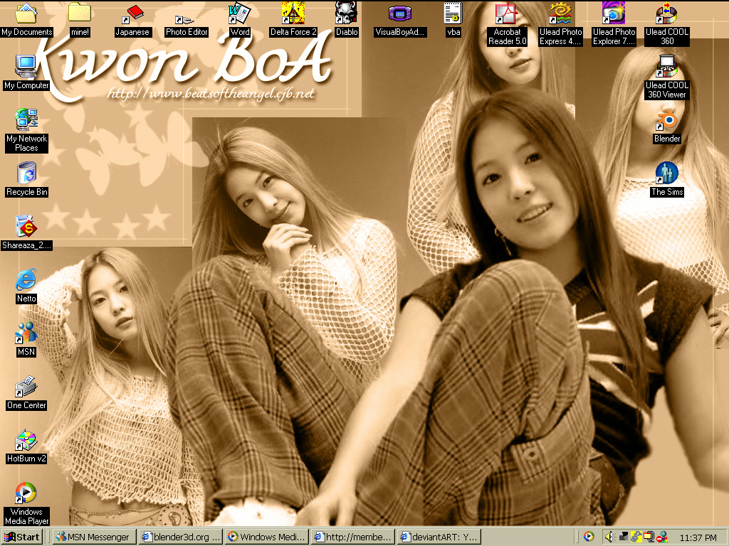 Boa Wallpaper