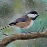 Chickadee