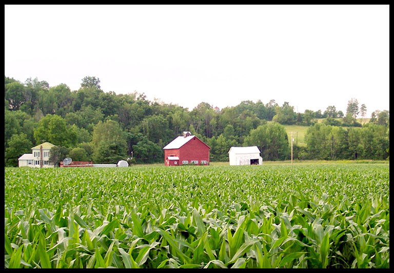 Farm land