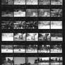 contact sheet