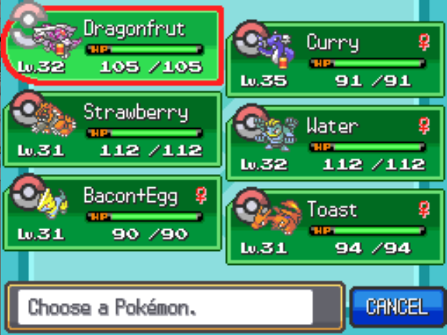 HeartGold Randomiser Nuzlocke Team, Box, and Death by PageEmperor