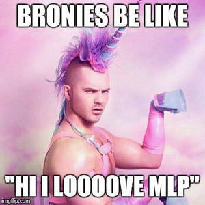 For Bronies 
