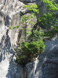 Lysefjord Norway