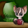 Sugar Glider