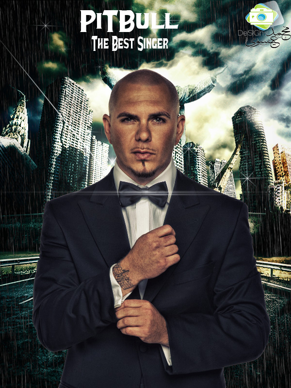 New Design ... Pitbull