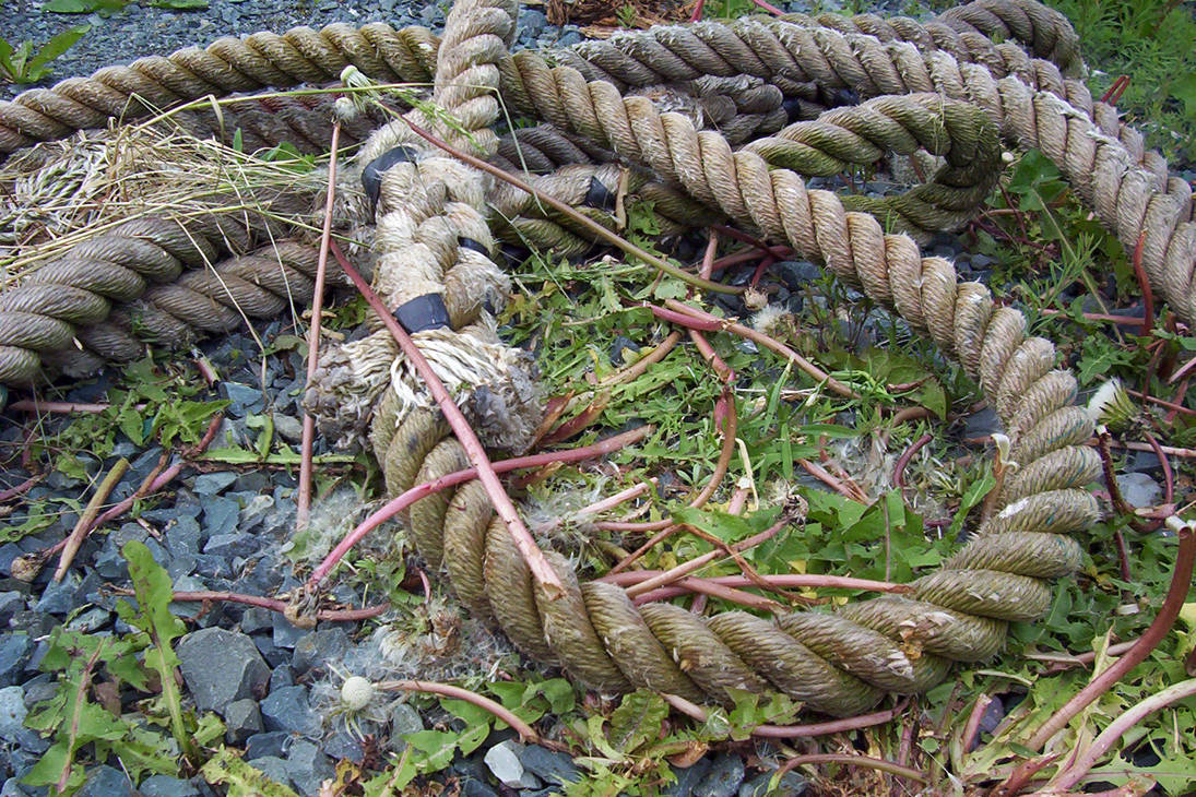 Macro Rope by xTeenageDeathGirlx on DeviantArt