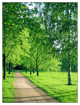 park in june