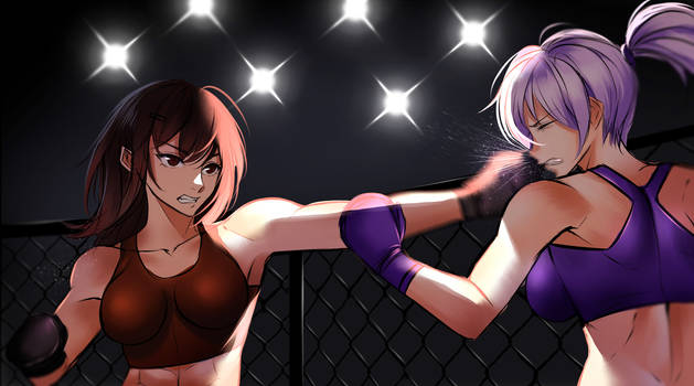 Commission - strong girls fighting