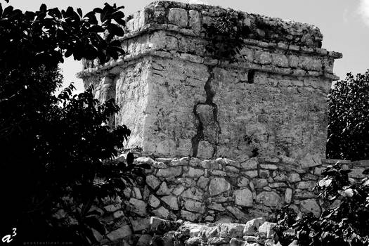 Overgrown Mayan Watchtower