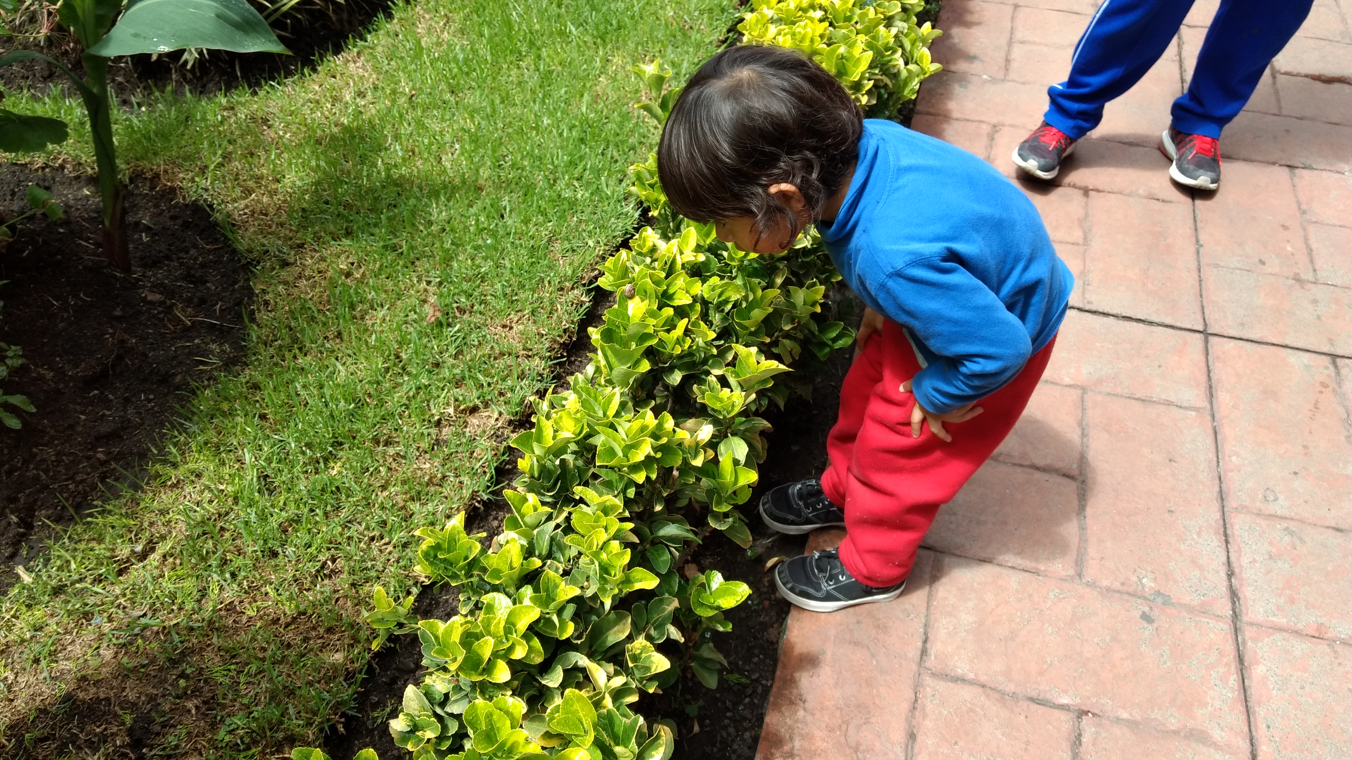 The boy and the snail