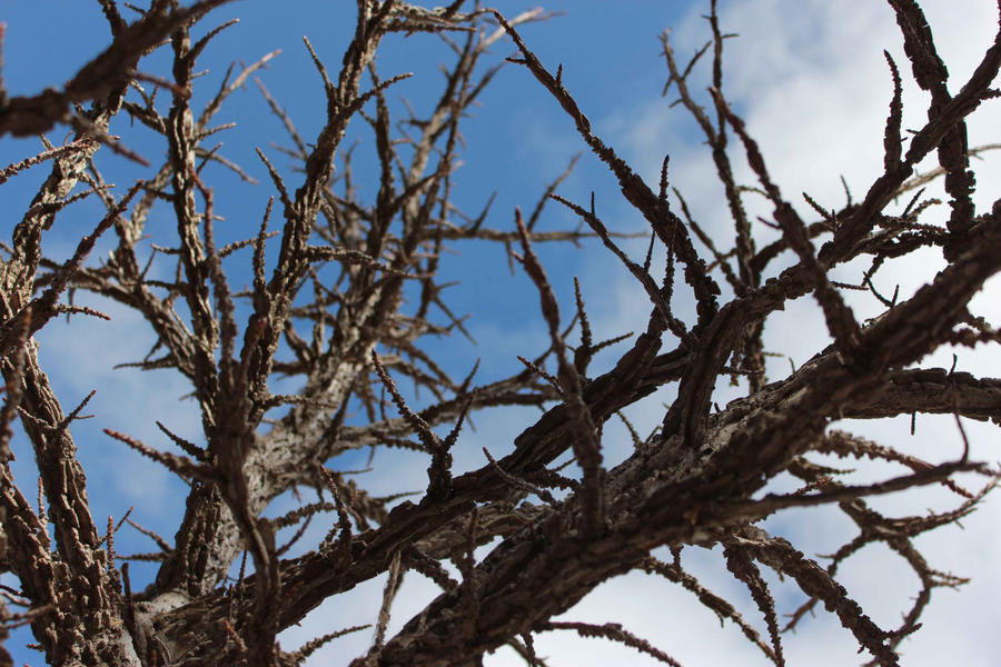 Horror Movie Tree by lady-espoir on DeviantArt