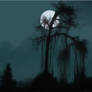 The moon(Corel Paint)