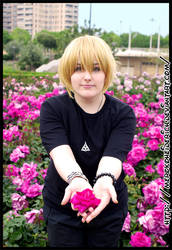 Len -roses for you-