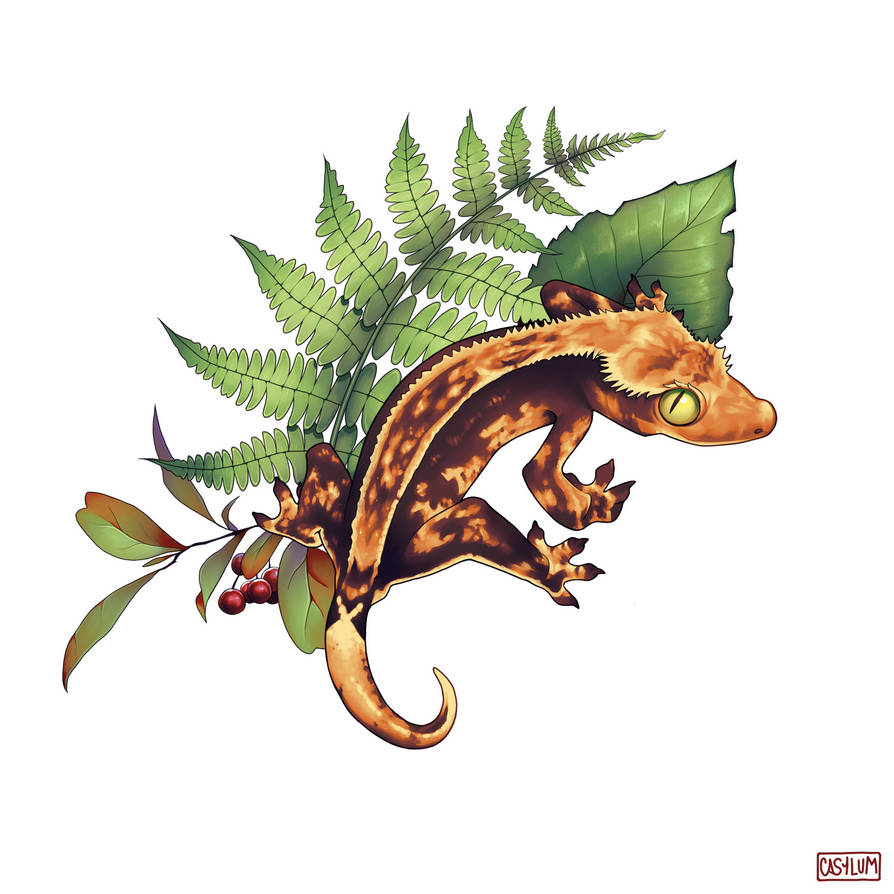 Gecko Deviantart Crested Gecko Print by Casylum on DeviantArt