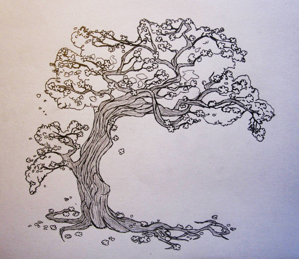 Cherry Tree Sketch by gonzagator on DeviantArt