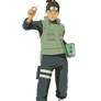 Iruka Sensei