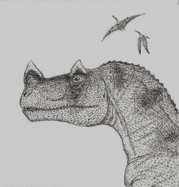 Ceratosaurus