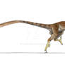 Velociraptor in color