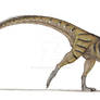 Masiakasaurus-colored