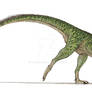 Masiakasaurus v.2