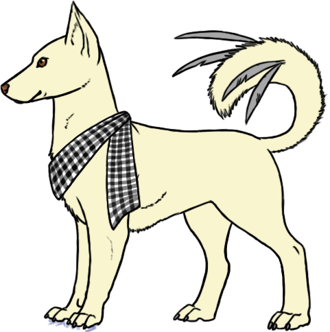 Canaan Dog OC