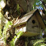 Palm Tree Birdhouse