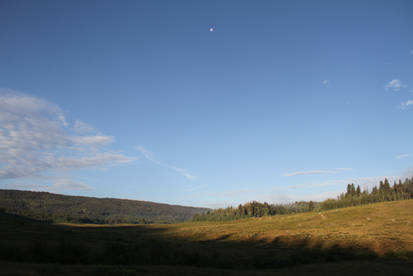 Daytime Moon