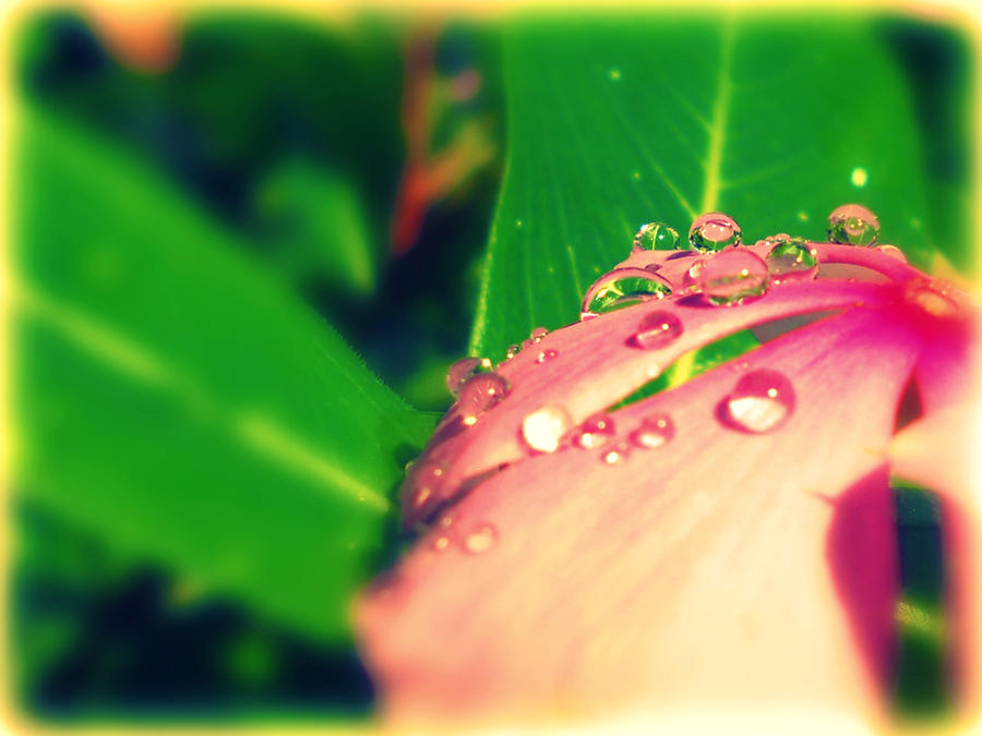 Droplets