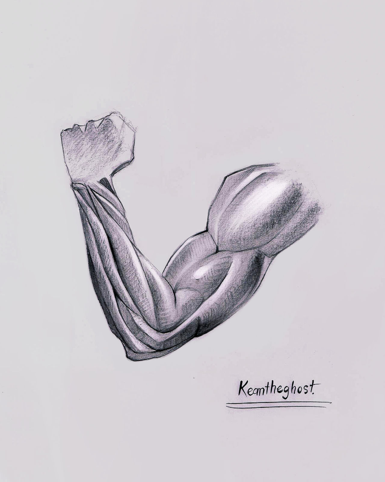 Arm study by keantheghost on DeviantArt
