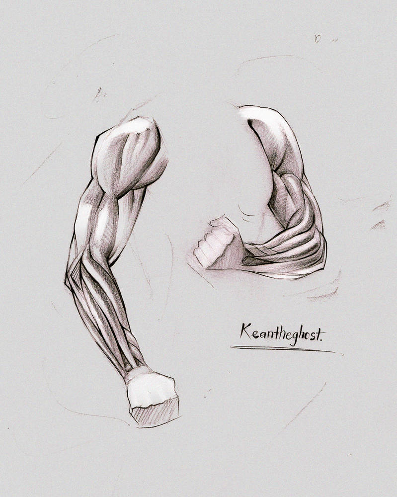 Arms study by keantheghost on DeviantArt