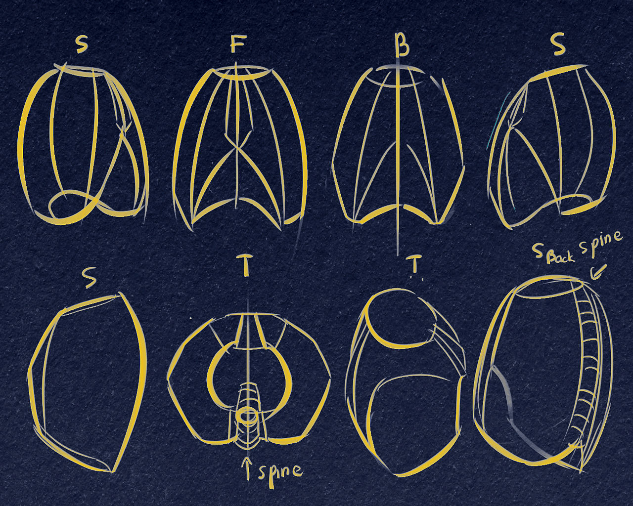 Rib cage anatomy study by keantheghost on DeviantArt Biology Diagrams