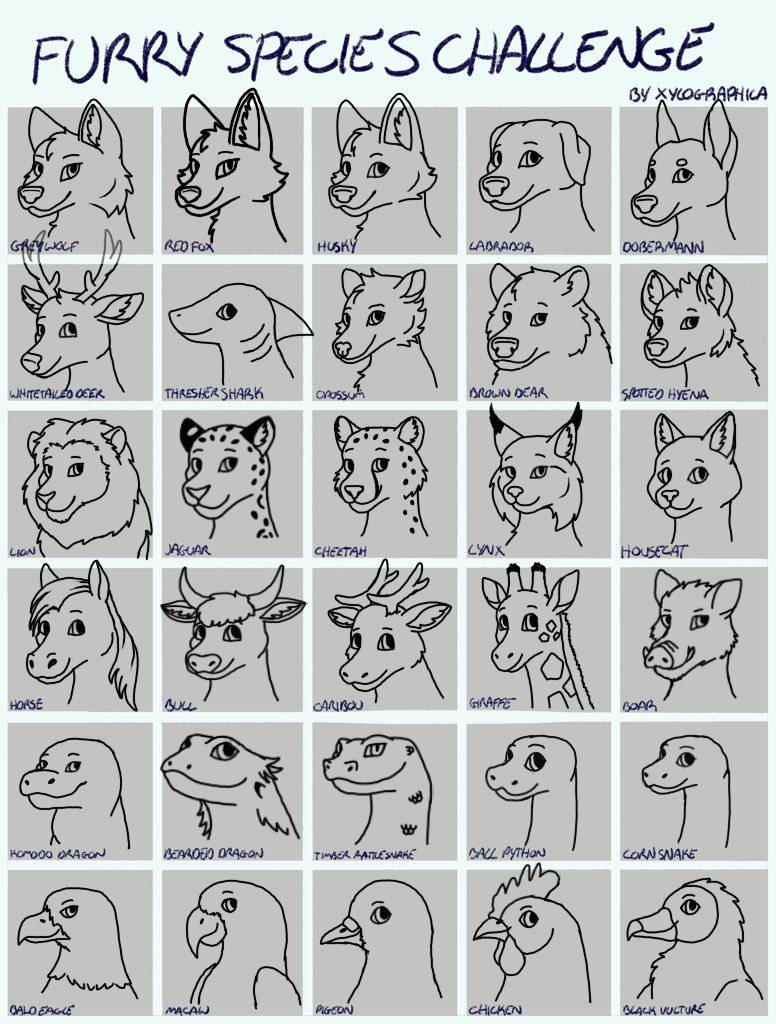 Furry Species Challenge By DaisybelltheCow On DeviantArt furry-species-challenge-by-daisybellthecow-on-deviantart