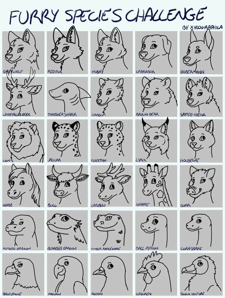 Furry Species Challenge By DaisybelltheCow On DeviantArt furry-species-challenge-by-daisybellthecow-on-deviantart