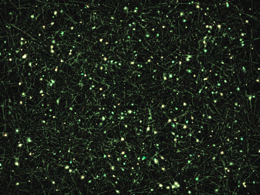 Synapse field by scottVee