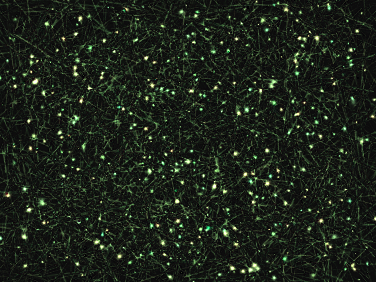 Synapse field by scottVee