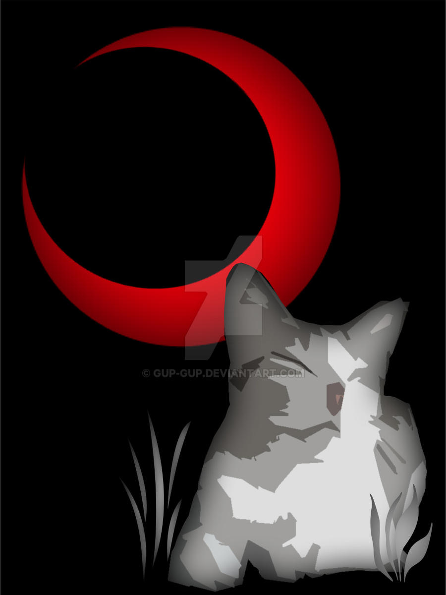 cat and the red moon