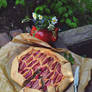 Frangipane rhubarb rustic tart