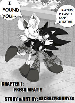 The Good and Bad Sonadow Page 3