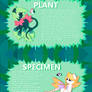 Nature Ponies .:Earth Refrence Sheet:.