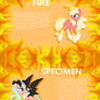 Nature Ponies .:Fire Species Refrence Sheet:.