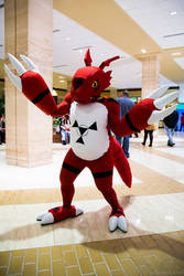 My Guilmon Cosplay