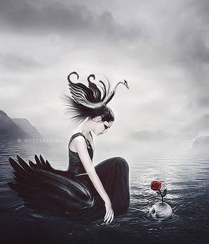 Black Swan by amebleu