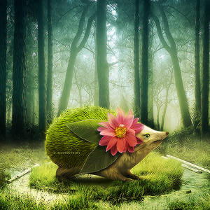Real Shaymin by amebleu Real Shaymin by amebleu